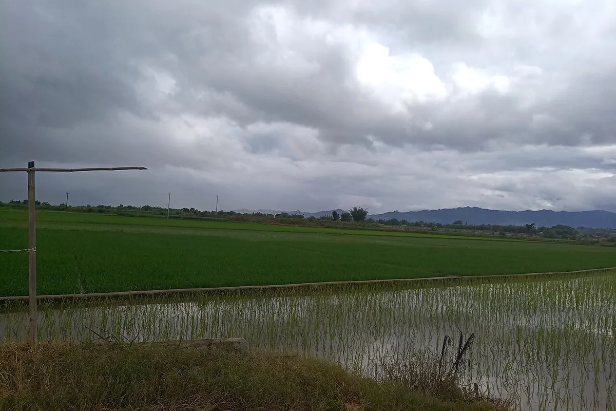 瑞丽农场-弄岛分场03.jpg