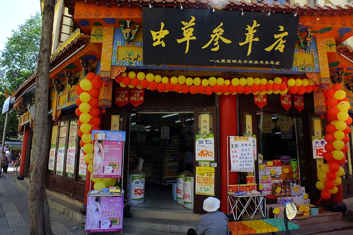 2015-03-20 Wuhua District, Yunnan, Kunming 光華街(雲南省昆明市五華区, 中国) DSCF3549光華街.jpg