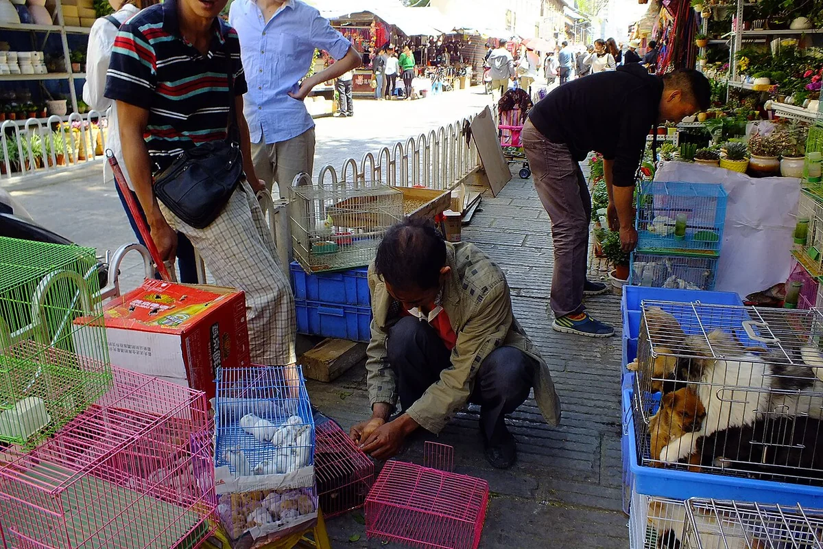 2015-03-20 Wuhua District, Yunnan, Kunming 光華街(雲南省昆明市五華区, 中国) DSCF3559.jpg