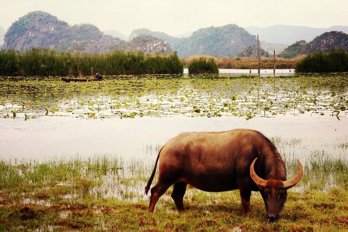 China- Yunnan- Puzhehei 9