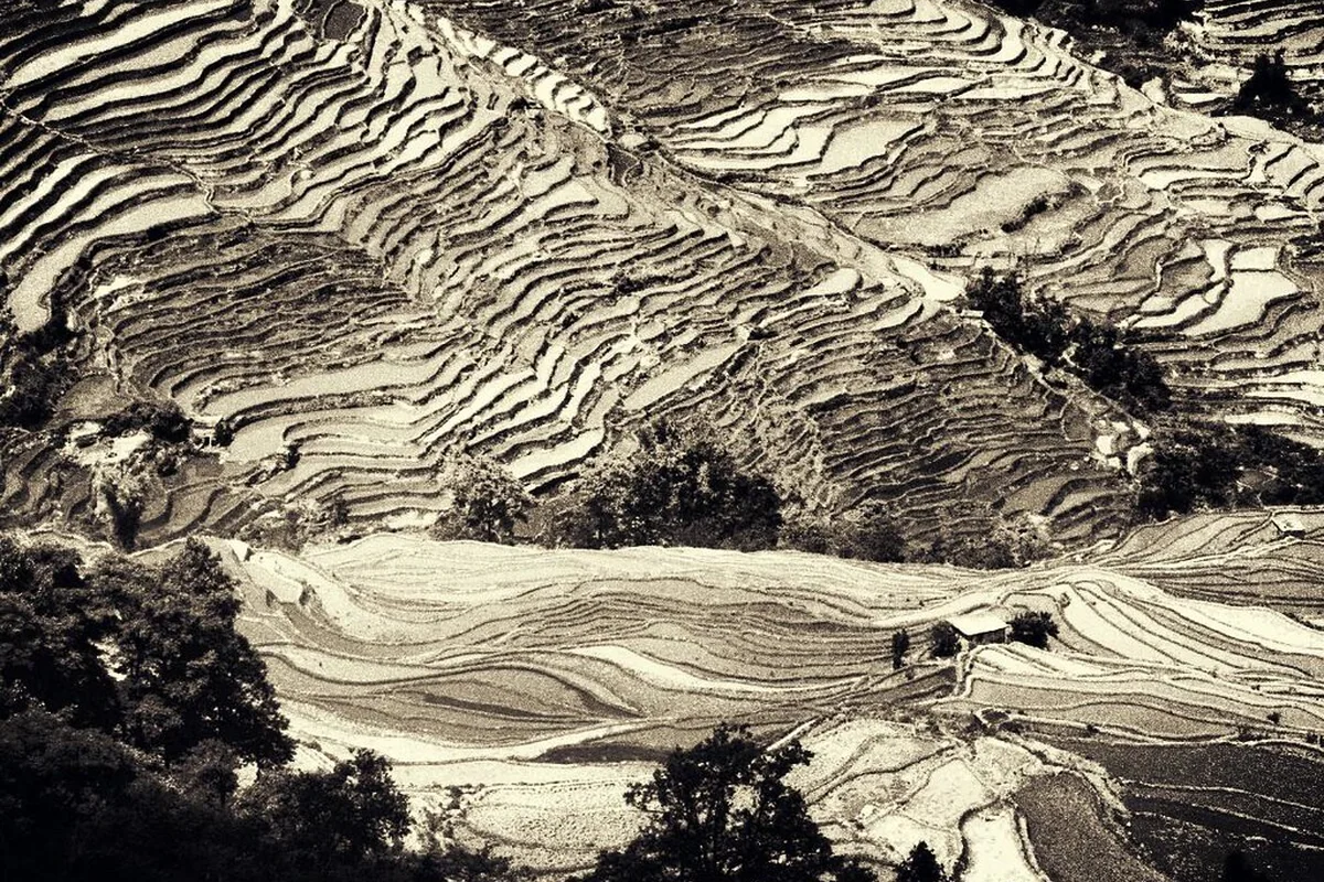 China- Yunnan- Yuanyang Rice Terraces 3